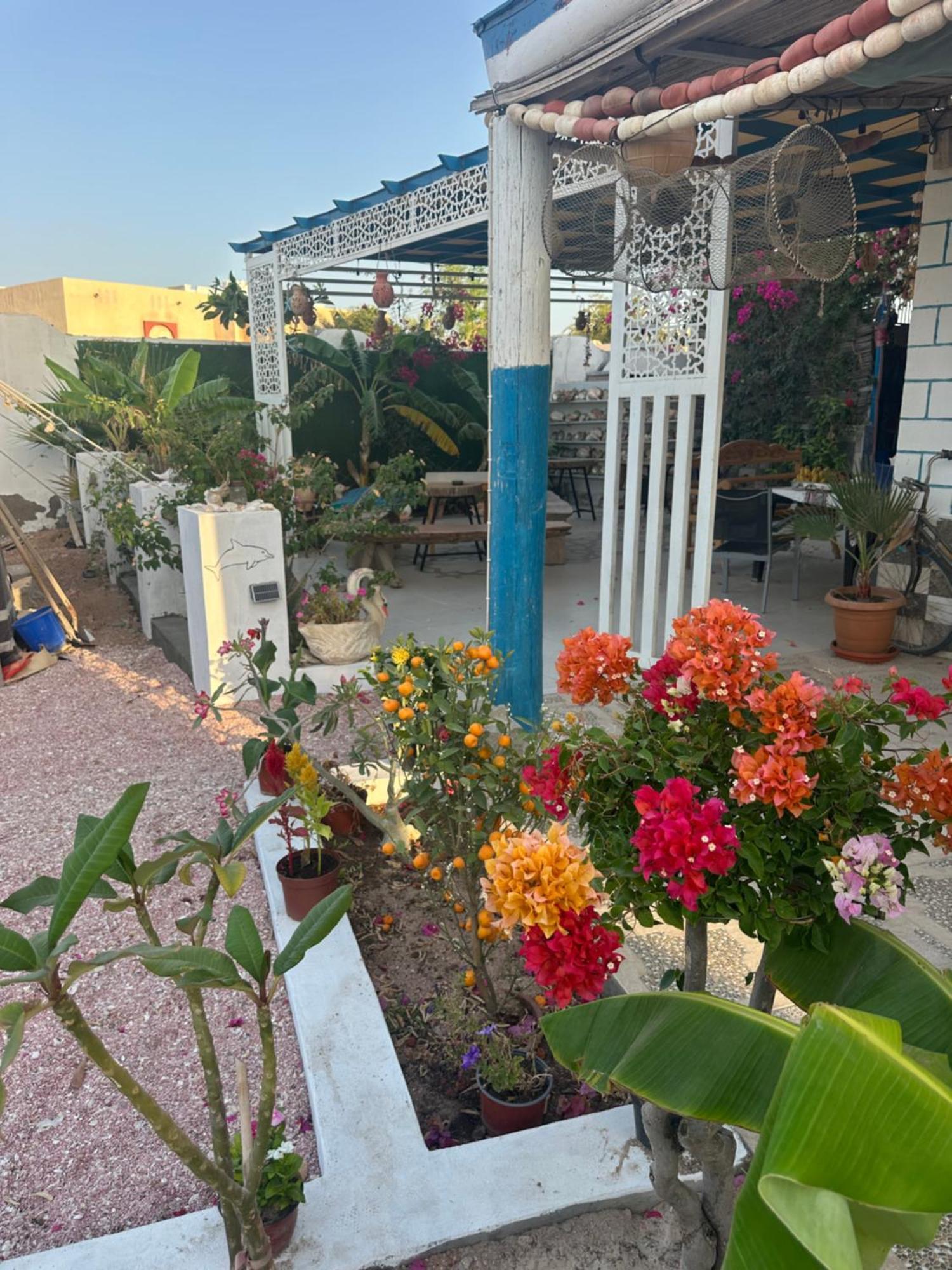 Salem Fish Guest House Ras al Hadd Exterior foto