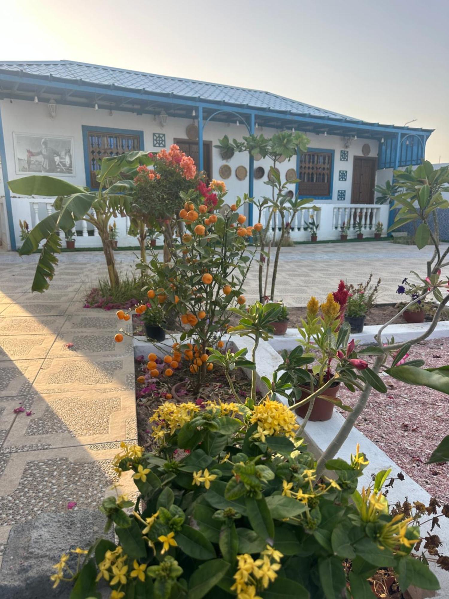 Salem Fish Guest House Ras al Hadd Exterior foto